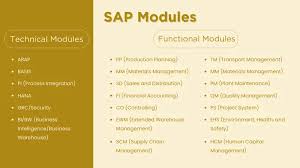SAP Modules